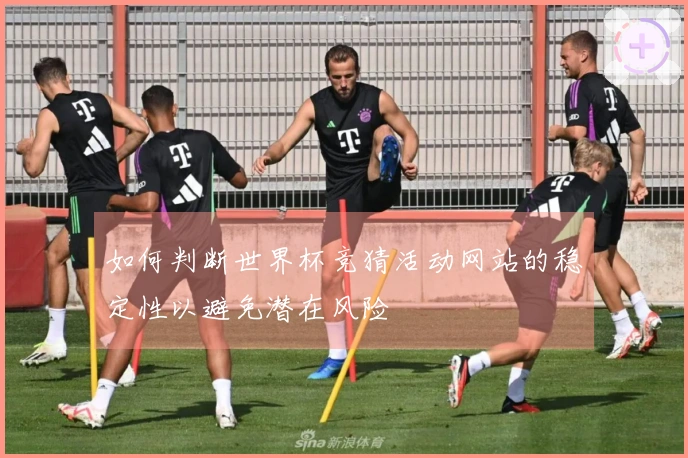 如何判断世界杯竞猜活动网站的稳定性以避免潜在风险