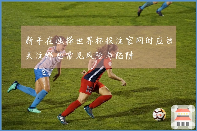 新手在选择世界杯投注官网时应该关注哪些常见风险与陷阱