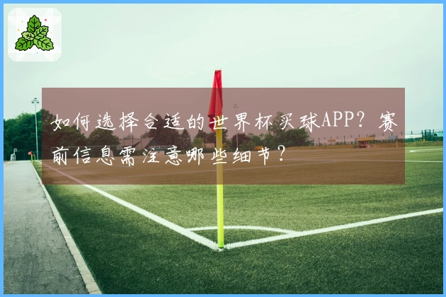 如何选择合适的世界杯买球APP？赛前信息需注意哪些细节？