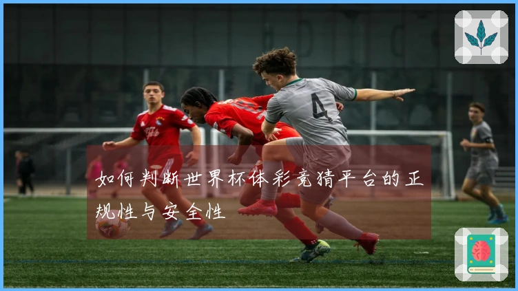 如何判断世界杯体彩竞猜平台的正规性与安全性