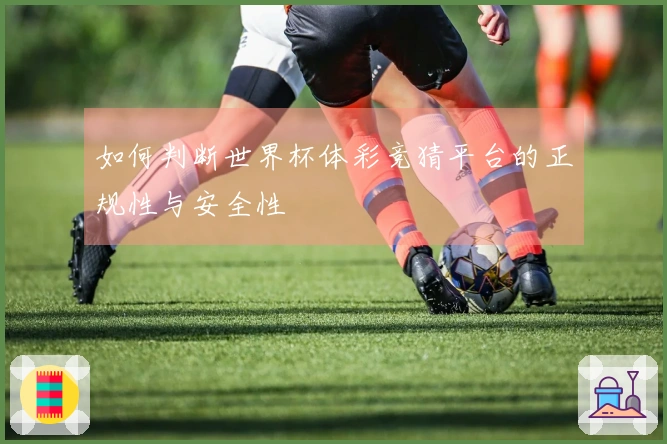 如何判断世界杯体彩竞猜平台的正规性与安全性